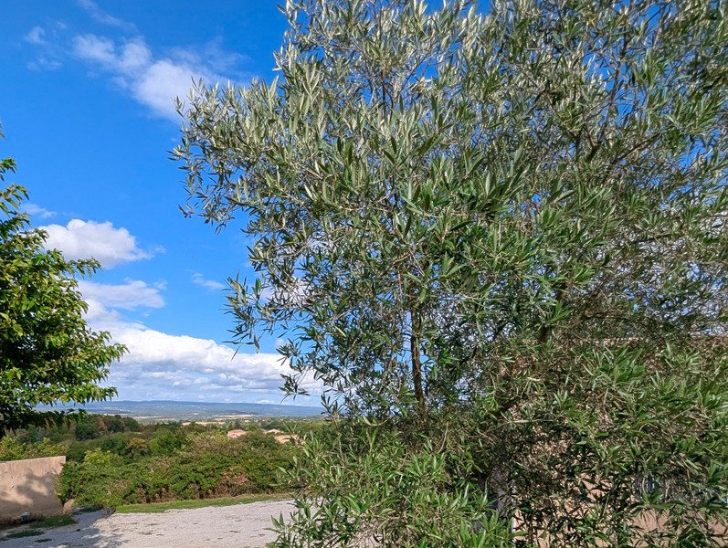 French property for sale in Labruguière, Tarn - €370,000 - photo 7