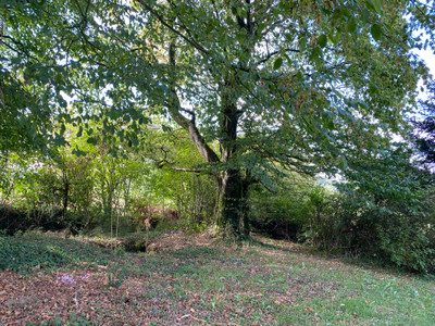 French property for sale in Chaulieu, Manche - €147,150 - photo 9