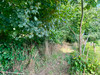French property for sale in Pré-en-Pail-Saint-Samson, Mayenne - €62,000 - thumbnail 9