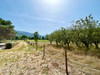 French property for sale in Fuilla, Pyrénées-Orientales - €325,000 - thumbnail 14
