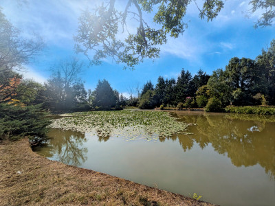 lakes for sale in Deux-Sèvres