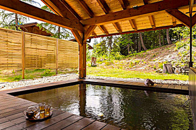French property for sale in Montvalezan, Savoie - €1,300,000 - photo 4