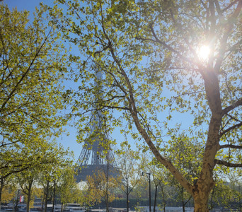 Appartement à vendre à Paris, Paris, Île-de-France, avec Leggett Immobilier