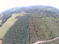 Terrain à vendre à Langonnet, Morbihan - 848.000 € - photo 5