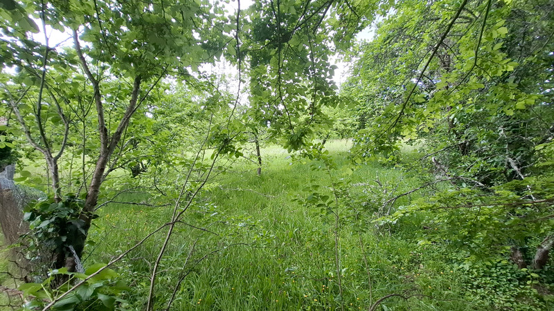 French property for sale in Aixe-sur-Vienne, Haute-Vienne - €46,600 - photo 1
