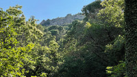 French property, houses and homes for sale in La Garde-Freinet Var Provence_Cote_d_Azur