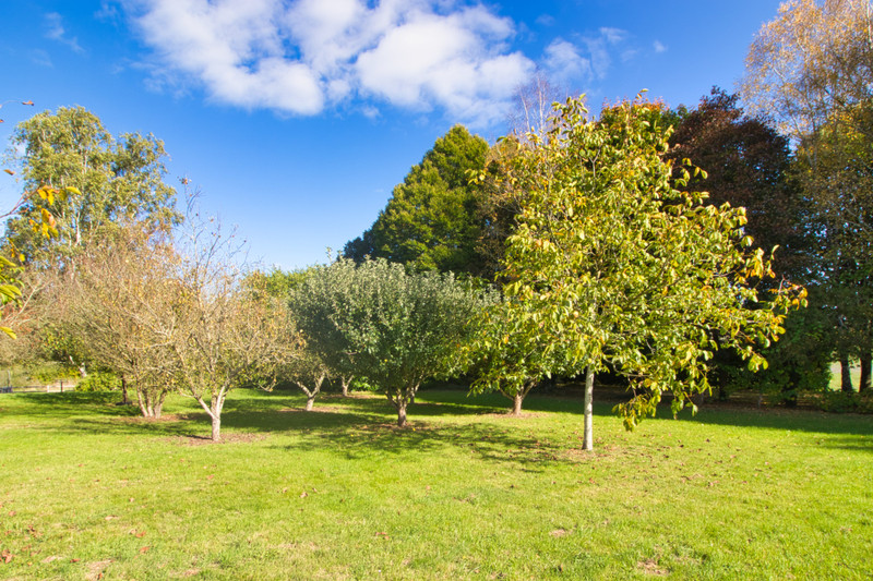 French property for sale in Le Lude, Sarthe - €239,995 - photo 14