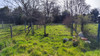 French property for sale in Champagne-Mouton, Charente - €49,950 - thumbnail 13