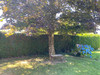 French property for sale in Maël-Carhaix, Côtes-d'Armor - €219,350 - thumbnail 14