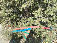 Terrain à vendre à Flassans-sur-Issole, Var - 120.000 € - photo 4