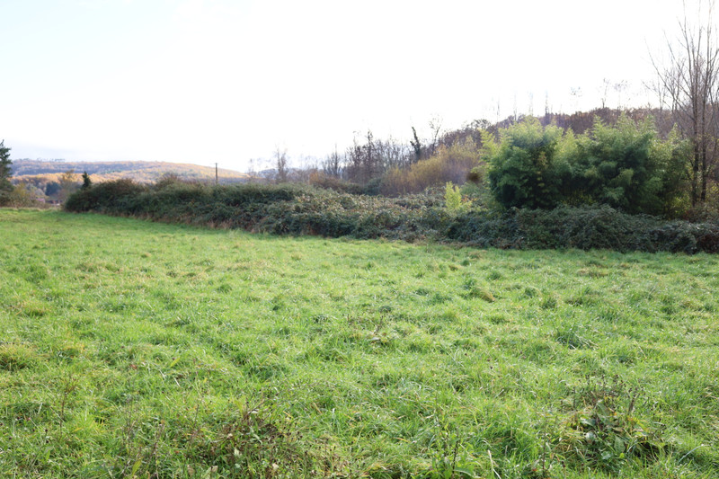 French property for sale in Thonac, Dordogne - €75,210 - photo 6