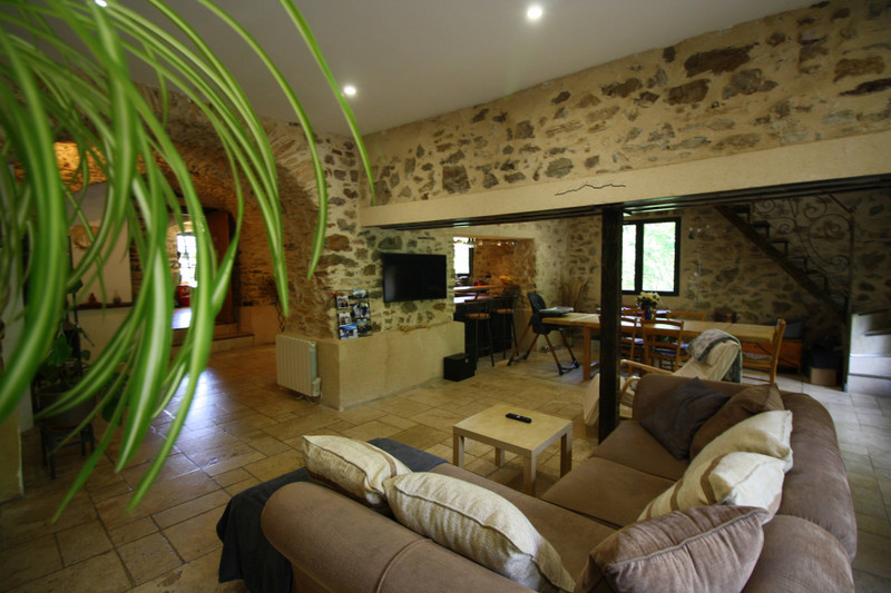 French property for sale in Ferrières-Poussarou, Hérault - €429,000 - photo 3