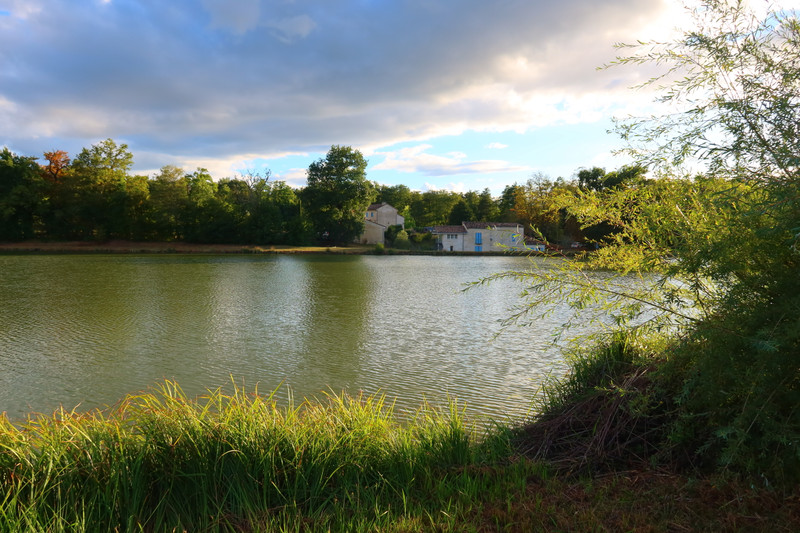 French property for sale in Lussac, Gironde - €4,065,000 - photo 9