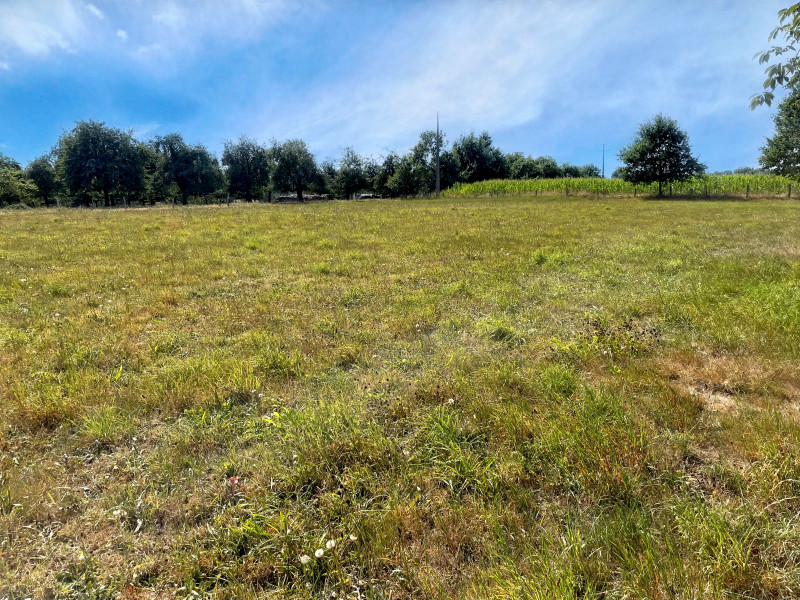 French property for sale in Saint-Fraimbault, Orne - €6,600 - photo 2