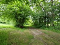 Terrain à vendre à Cromac, Haute-Vienne - 81.950 € - photo 8