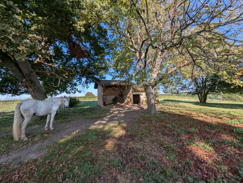 French property for sale in Castelnau d'Auzan Labarrère, Gers - €342,000 - photo 1