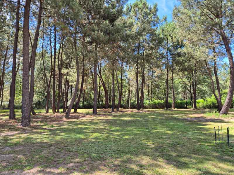 French property for sale in Périgueux, Dordogne - €315,000 - photo 2