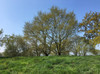 French property for sale in Carbay, Maine-et-Loire - €88,888 - thumbnail 14
