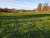 French property for sale in Tourtoirac, Dordogne - €31,000 - thumbnail 8