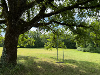 French property for sale in Négrondes, Dordogne - €445,000 - photo 4