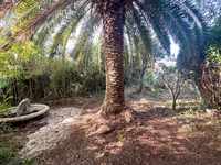 Maison à vendre à Antibes, Alpes-Maritimes - 550.000 € - photo 1