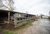 French property for sale in Cerisy-la-Forêt, Manche - €162,000 - thumbnail 9