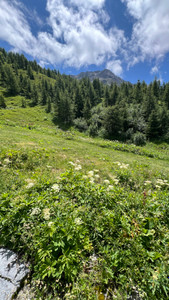 Ski property for sale in Sainte Foy - €450,000 - photo 6