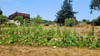 French property for sale in Ortaffa, Pyrénées-Orientales - €495,000 - thumbnail 13