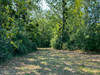 French property for sale in Duras, Lot-et-Garonne - €498,200 - thumbnail 9