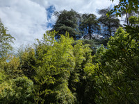 Propriété à vendre à Saint-Laurent-du-Pape, Ardèche - 750 000 € - photo n°14
