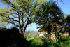 French property for sale in Auriac-du-Périgord, Dordogne - €212,000 - thumbnail 4