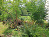 French property for sale in Gros-Chastang, Corrèze - €41,600 - thumbnail 9