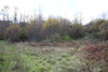 French property for sale in Thonac, Dordogne - €75,210 - thumbnail 12