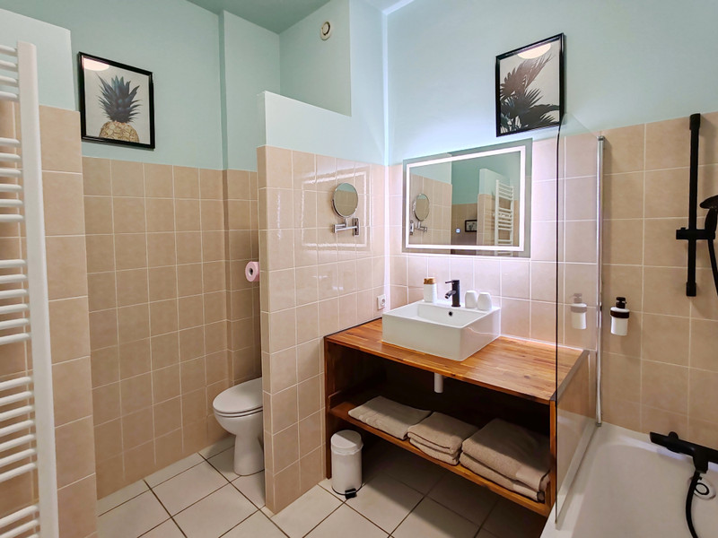 French property for sale in Saint-Martin-la-Pallu, Vienne - €682,500 - photo 6