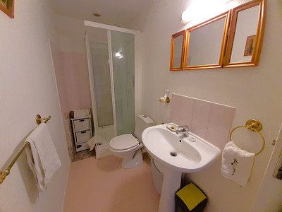 French property for sale in Bouteilles-Saint-Sébastien, Dordogne - €80,000 - photo 10