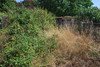 French property for sale in Val-d'Oire-et-Gartempe, Haute-Vienne - €46,600 - thumbnail 10