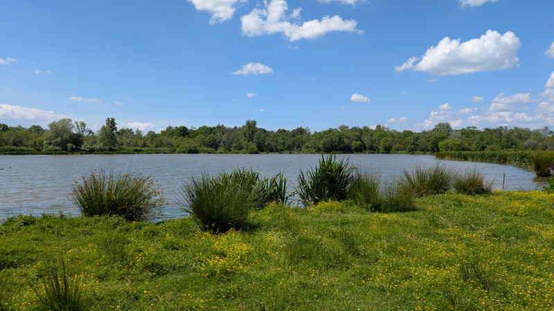 Terrain à vendre à Izon, Gironde - 270.300 € - photo 1