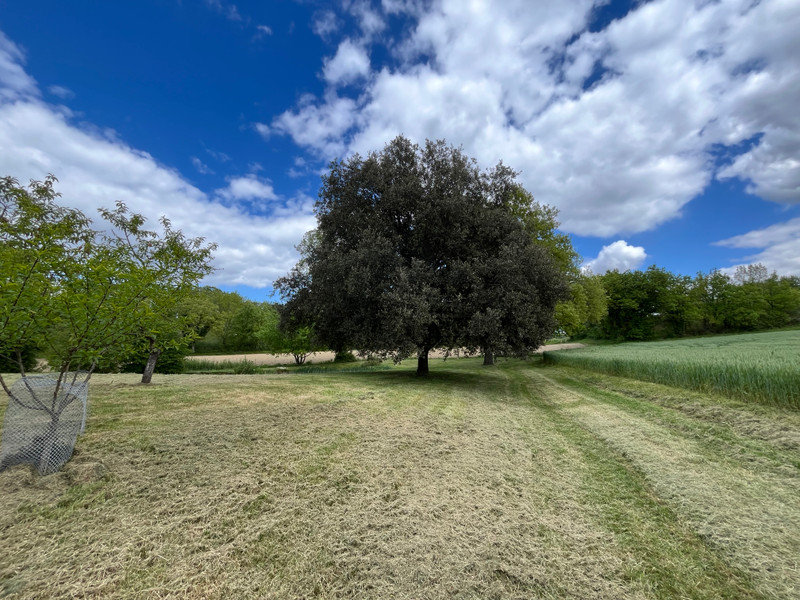 French property for sale in Nérac, Lot-et-Garonne - €400,000 - photo 3