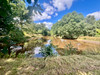 French property for sale in Saint-Agnant-de-Versillat, Creuse - €246,100 - thumbnail 9