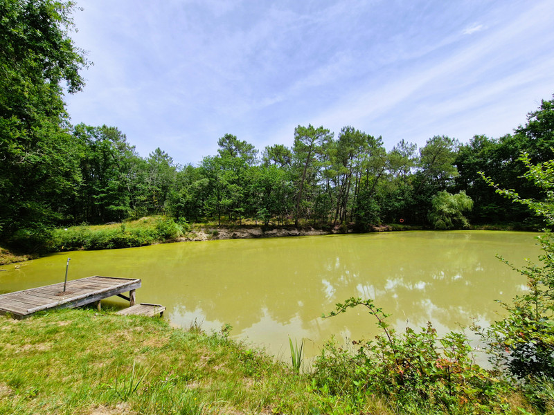 French property for sale in Saint-Rémy, Dordogne - €420,000 - photo 2
