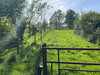 French property for sale in Saint-Hilaire-en-Lignières, Cher - €129,710 - thumbnail 14