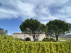 French property for sale in Eynesse, Gironde - €999,999 - thumbnail 9