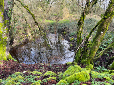 Terrain à vendre à Rom, Deux-Sèvres, Poitou-Charentes, avec Leggett Immobilier