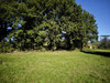 French property for sale in Beauvais-sur-Tescou, Tarn - €45,000 - thumbnail 3