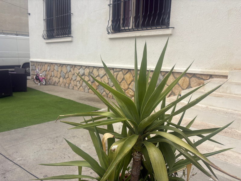 French property for sale in Carcassonne, Aude - €200,000 - photo 0