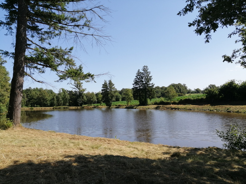 French property for sale in Vayres, Haute-Vienne - €77,000 - photo 1