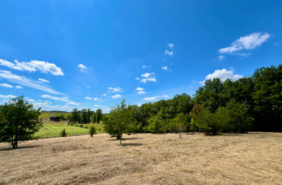 French property for sale in Miramont-de-Guyenne, Lot-et-Garonne - €305,950 - photo 3