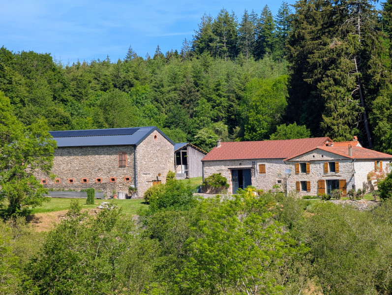French property for sale in Les Martys, Aude - €840,000 - photo 6