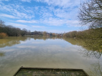 Lacs à Bouère, Mayenne - photo 8
