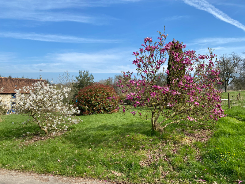French property for sale in Domfront en Poiraie, Orne - €225,750 - photo 1